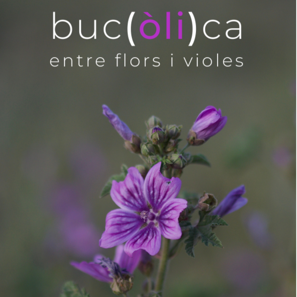 esdeveniment olituristic on gaudirem de l’oli d’oliva verge extra, les flors, les plantes comestibles i la gastronomia.