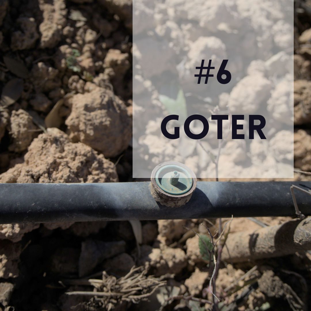 Olive grower word DRIPPERS Olicatessen